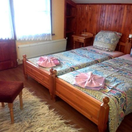 Veselata Guest House ドルナ・バニャ エクステリア 写真