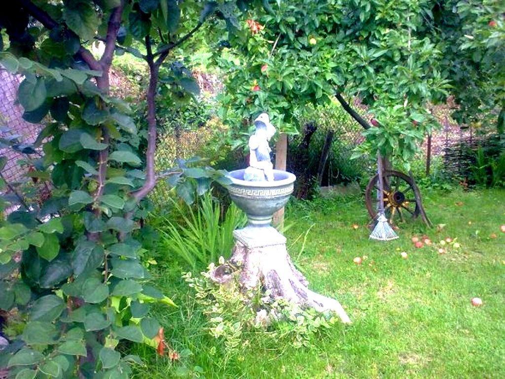 Veselata Guest House ドルナ・バニャ エクステリア 写真