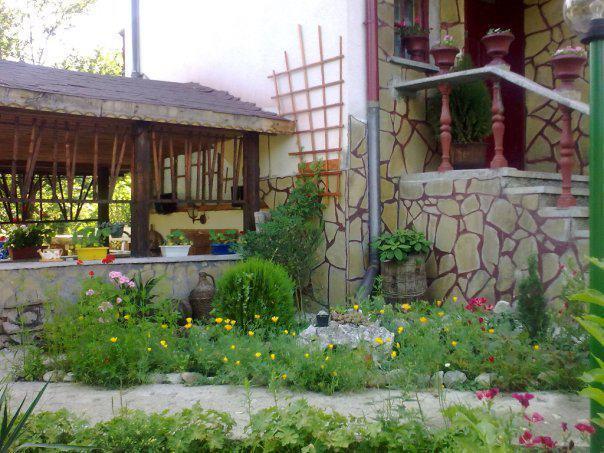Veselata Guest House ドルナ・バニャ エクステリア 写真
