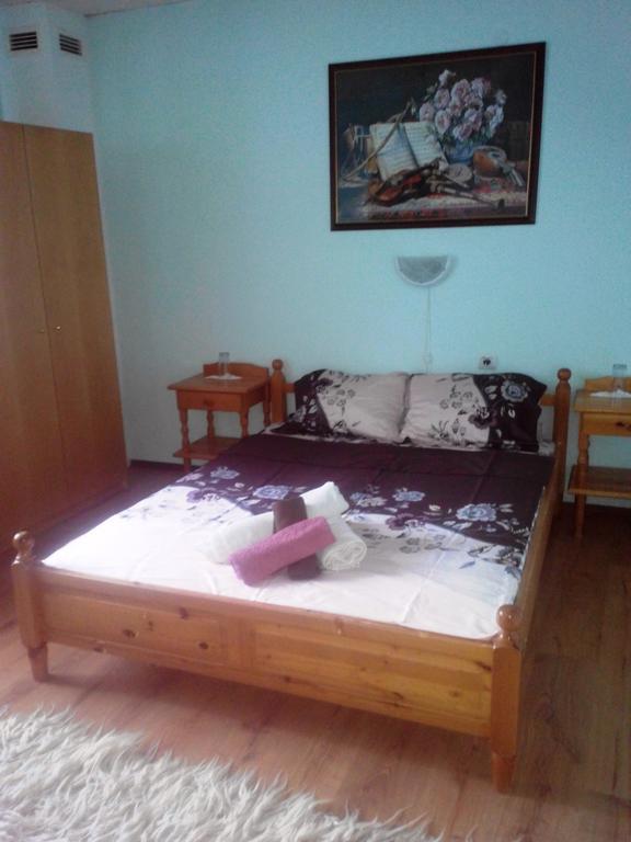Veselata Guest House ドルナ・バニャ エクステリア 写真