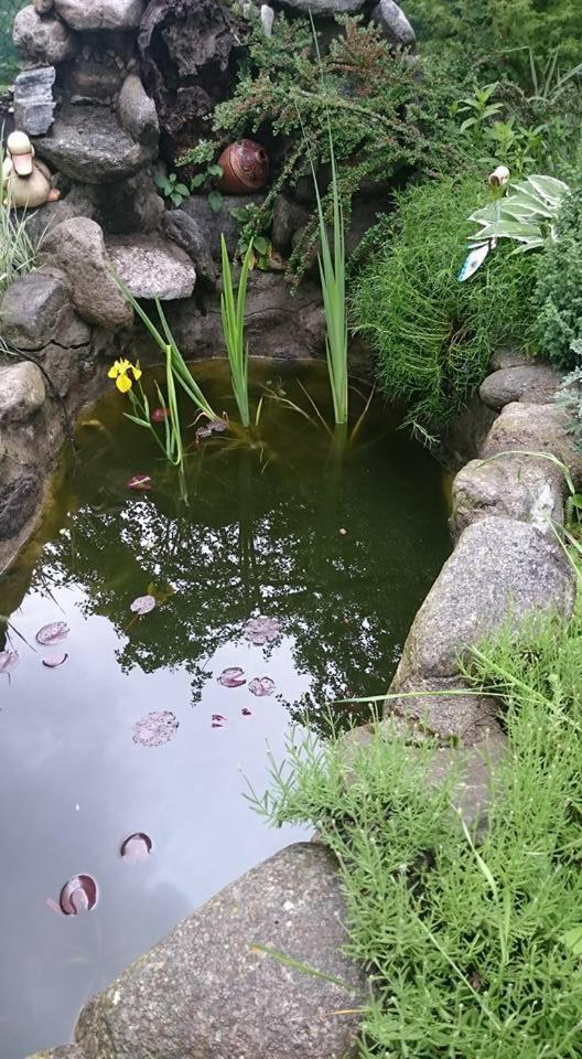 Veselata Guest House ドルナ・バニャ エクステリア 写真