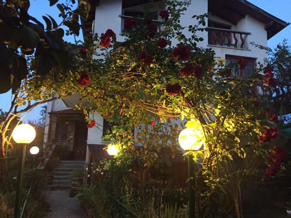 Veselata Guest House ドルナ・バニャ エクステリア 写真