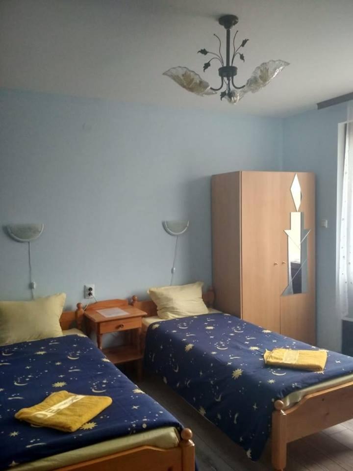 Veselata Guest House ドルナ・バニャ エクステリア 写真